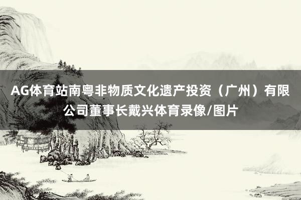 AG体育站南粤非物质文化遗产投资（广州）有限公司董事长戴兴体育录像/图片