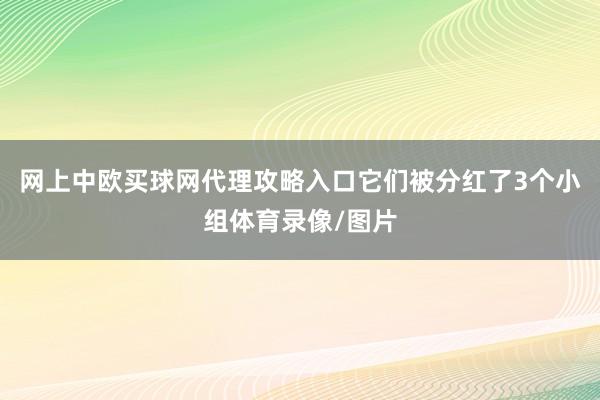 网上中欧买球网代理攻略入口它们被分红了3个小组体育录像/图片