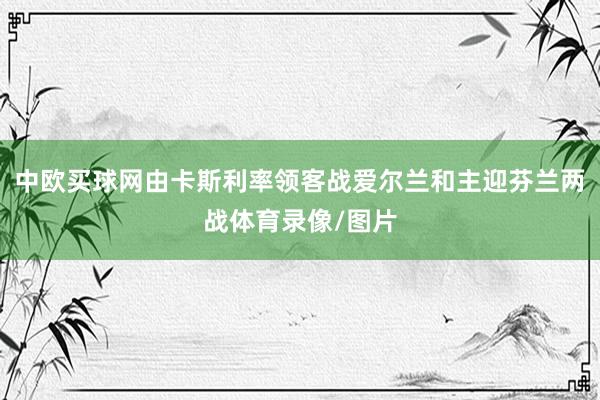 中欧买球网由卡斯利率领客战爱尔兰和主迎芬兰两战体育录像/图片