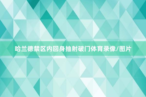 哈兰德禁区内回身抽射破门体育录像/图片