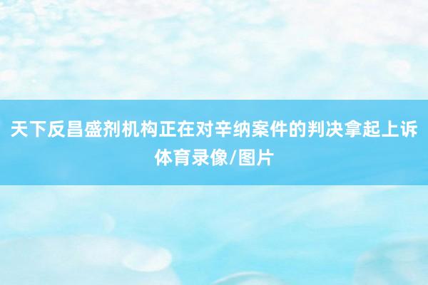 天下反昌盛剂机构正在对辛纳案件的判决拿起上诉体育录像/图片