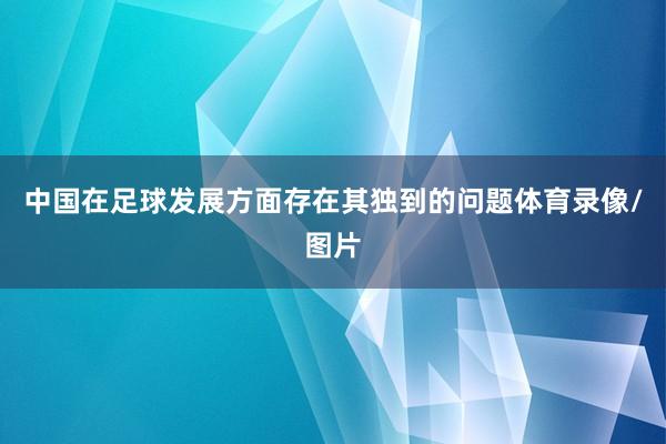 中国在足球发展方面存在其独到的问题体育录像/图片