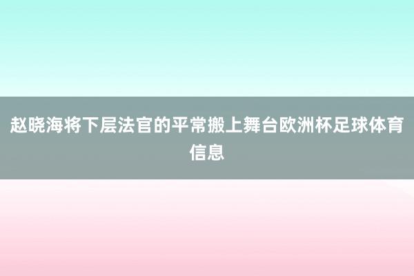 赵晓海将下层法官的平常搬上舞台欧洲杯足球体育信息